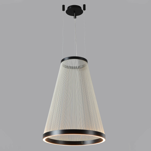 Светильник подвесной Crystal Lux ATRIUM A SP50W LED фото 2